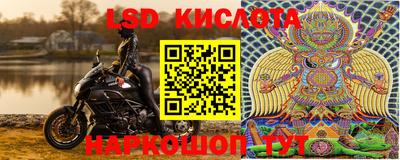 стаф Краснодар